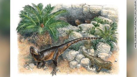 O dinossauro Dinky era o mais jovem de seu tipo quando vagou pelo País de Gales há 200 milhões de anos