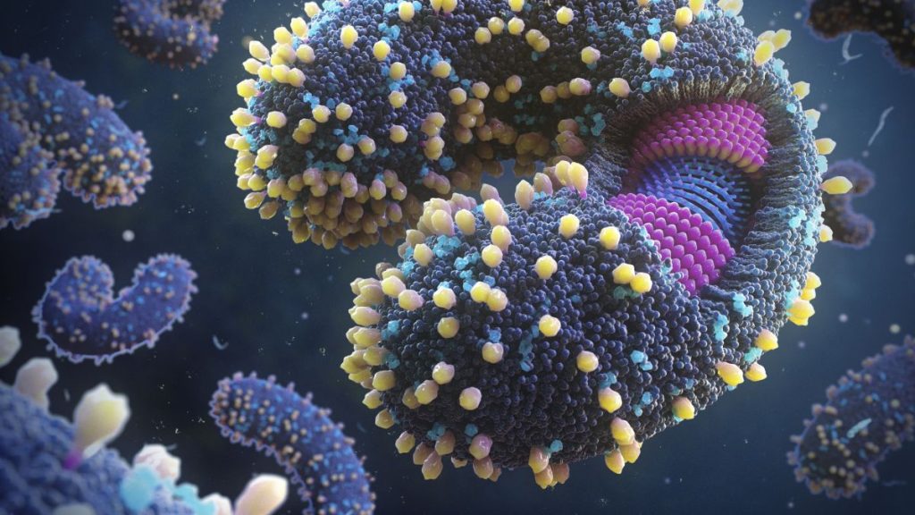 Milhares de novos vírus descobertos nos oceanos do mundo