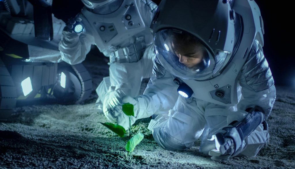 Cientistas cultivam plantas em solo lunar - pela primeira vez na história da humanidade