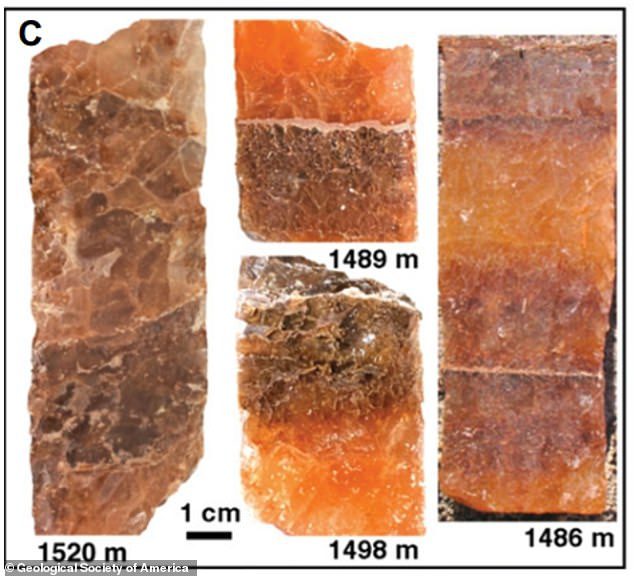 Imagens de lajes de núcleo de halita acolchoadas da Formação Brown de 830 milhões de anos, onde o cristal contendo microorganismos foi encontrado