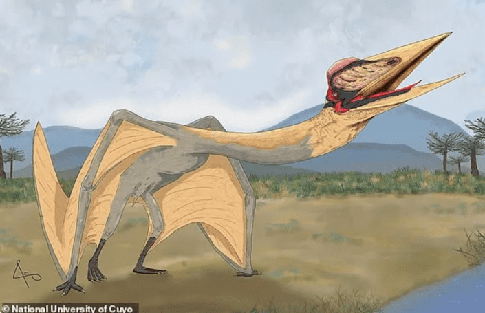 Paleontólogos na Argentina descobriram fósseis de um novo tipo de pterossauro chamado 'Pterossauro'.  dragão da morte "