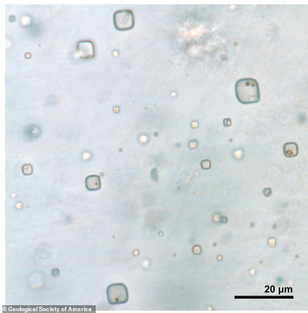 Pesquisadores descobriram pequenos restos de vida procariótica e algas dentro de um cristal de halita da Formação Brown de 830 milhões de anos na Austrália central.  Na foto: Inclusões líquidas em halita com microorganismos