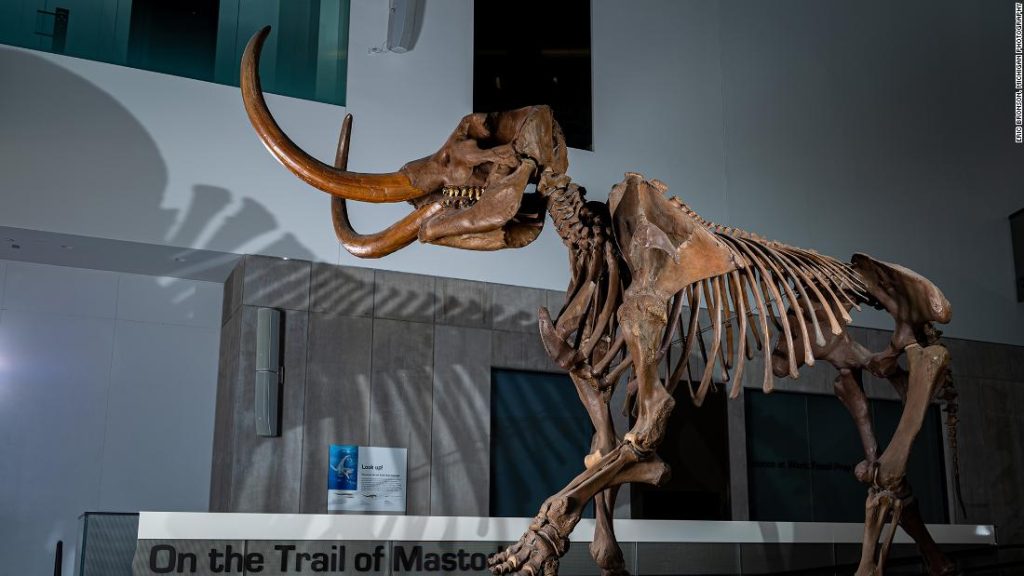 A presa do mastodonte revela padrões de migração na América do Norte