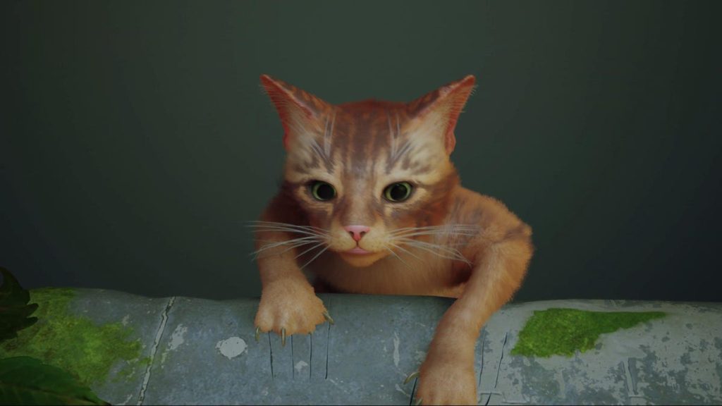 Cat Stray tem problemas de desempenho do Unreal Engine 4 no PC