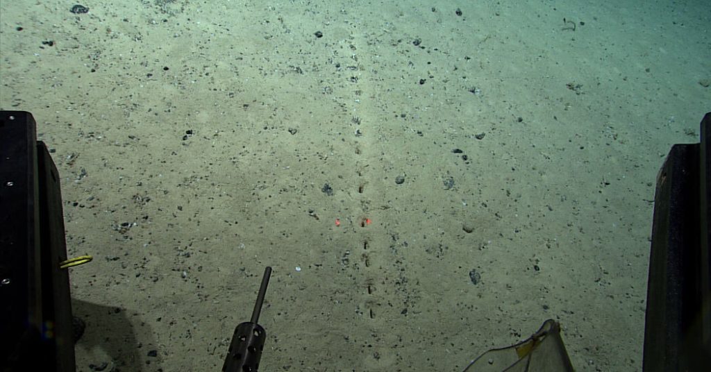Há buracos no fundo do oceano.  Os cientistas não sabem por quê.