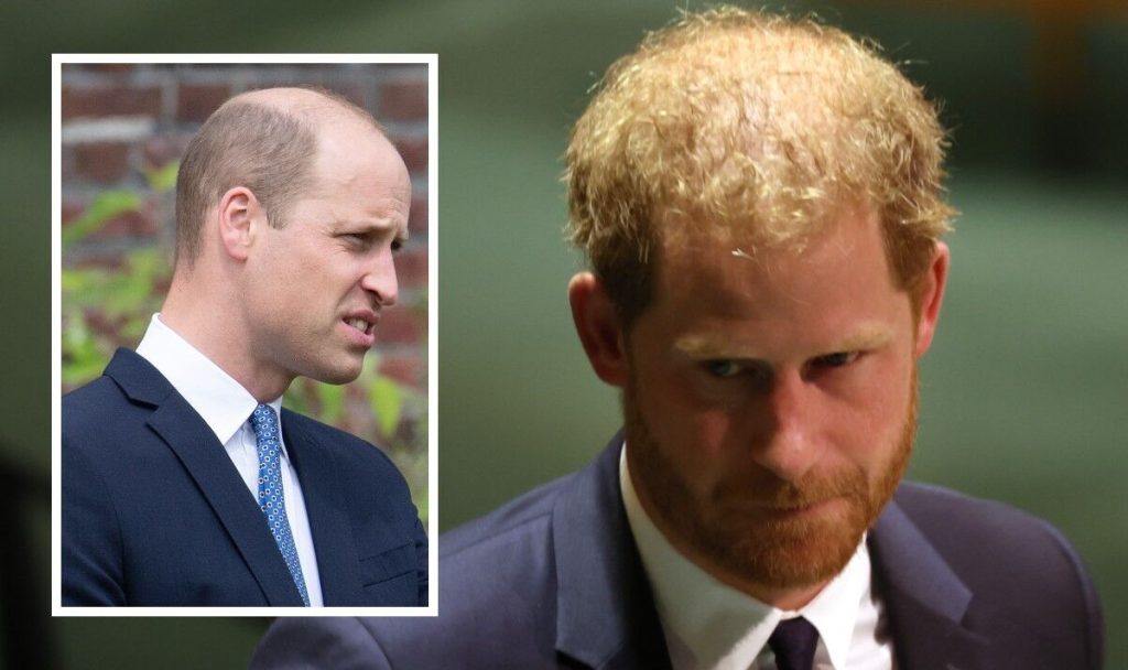 Príncipe William contempla 'o que fazer com o príncipe Harry' enquanto o duque desrespeita o governo real da rainha |  Real |  Notícia