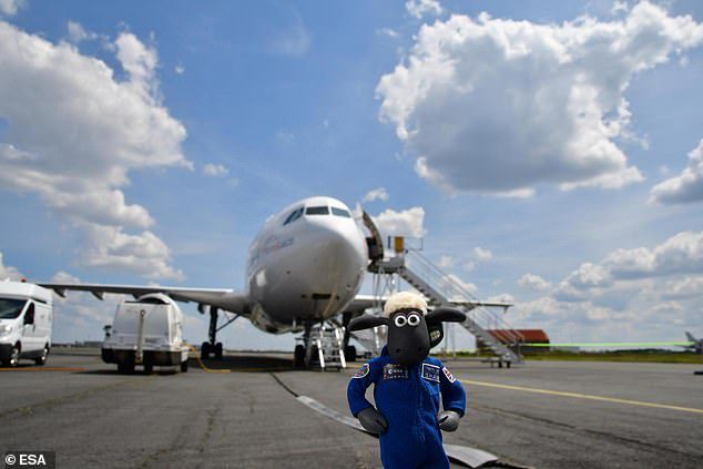 Shaun the Sheep também fez um voo a bordo de um Airbus Zero G 'A310, durante um de seus voos equivalentes que recria condições de 'leveza' para aqueles com experiência no espaço.