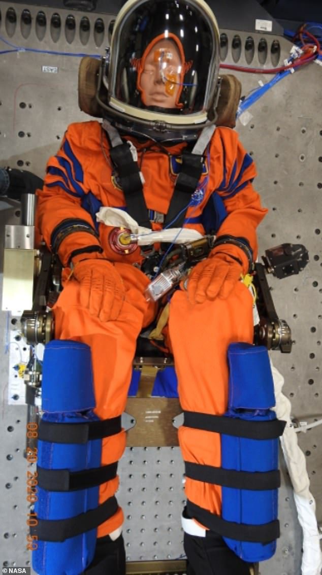 Os engenheiros da NASA usam um modelo adequado - conhecido como 'Commander Monekin Campus' - para realizar o teste de vibração no Centro Espacial Kennedy.  Ele voará a bordo da espaçonave Orion
