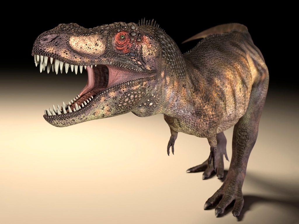 Grandes dinossauros predadores, como o T. rex, desenvolveram diferentes formatos de órbitas oculares para permitir mordidas mais fortes.