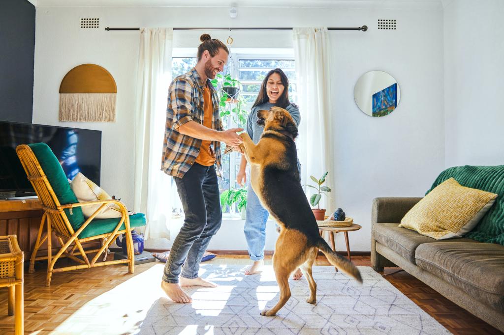 Cachorros choram de felicidade quando se reencontram com seus donos: um estudo