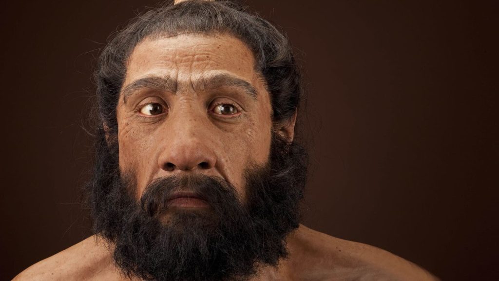 Estudo de crânios antigos lança luz sobre o cruzamento de humanos com neandertais