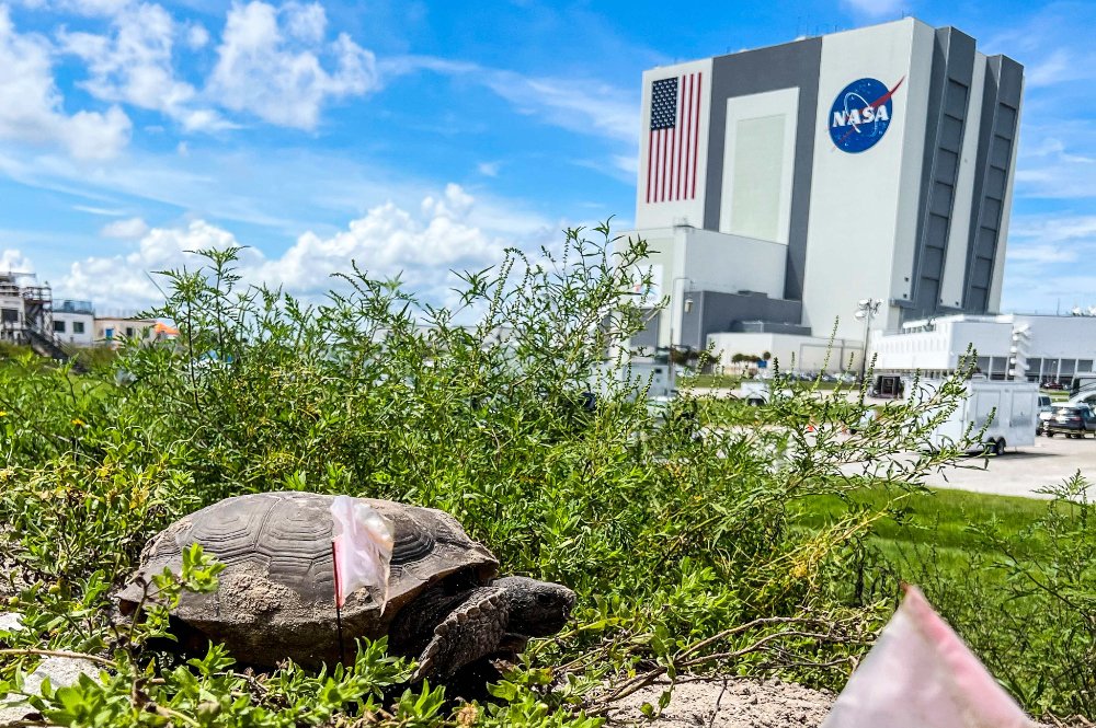 NASA não tem certeza sobre a possibilidade de lançar o próximo foguete lunar este mês