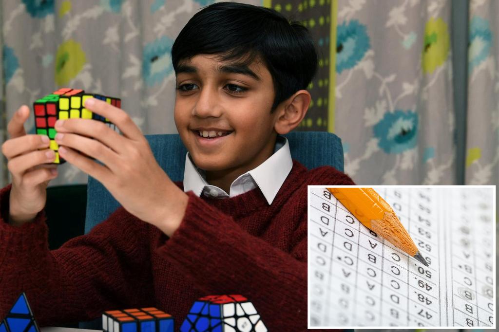 Menino britânico de 11 anos obtém a maior pontuação de QI possível