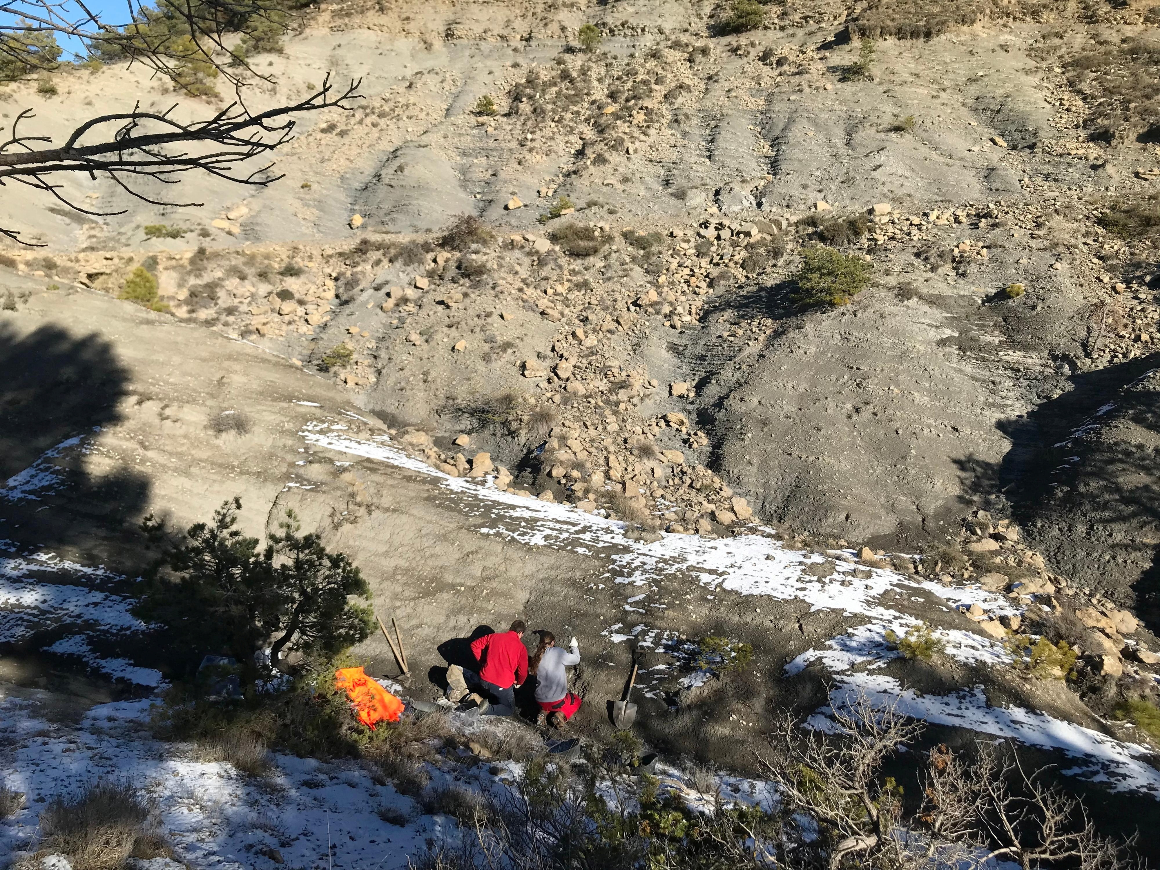 Local de escavação onde fósseis da grande tartaruga marinha do Cretáceo Leviathanochelys aenigmatica foram encontrados na Catalunha