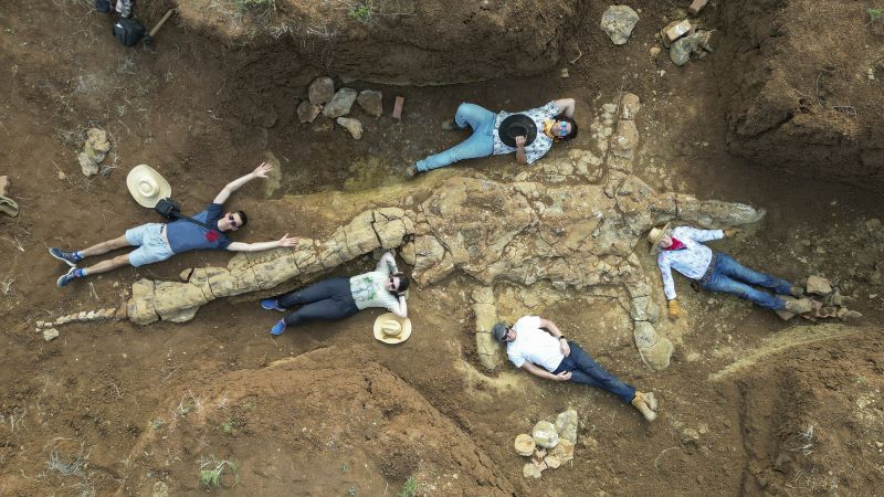 Plesiossauro: caçadores de fósseis na Austrália descobriram um esqueleto de 100 milhões de anos